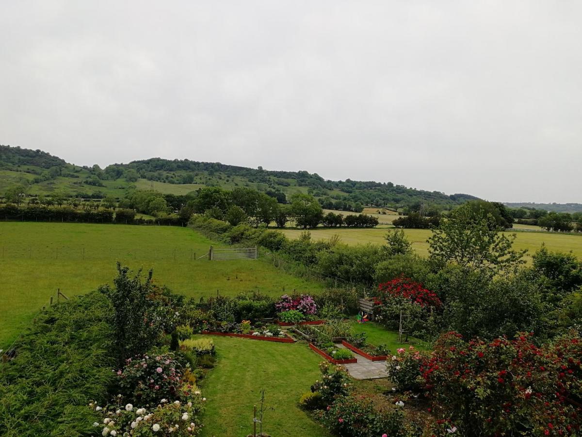 Fox Heaven B&B Carrickfergus Exterior foto